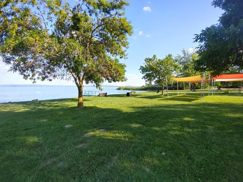 Sir David Balaton Castle Apartmanok Balatonszepezd Exterior photo