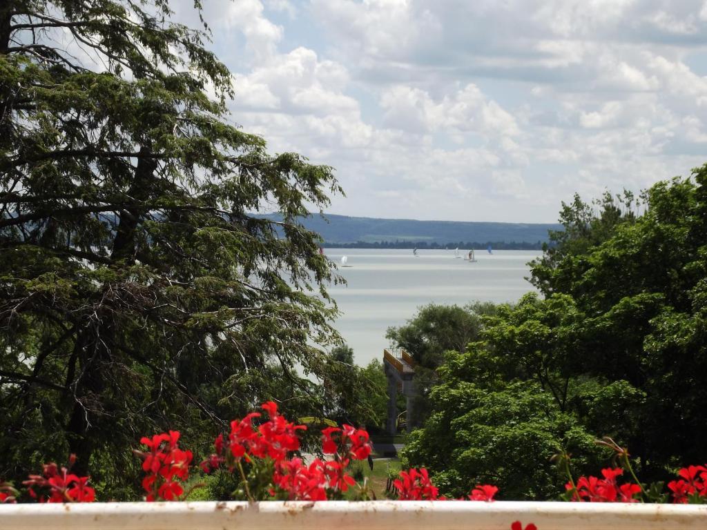 Sir David Balaton Castle Apartmanok Balatonszepezd Exterior photo