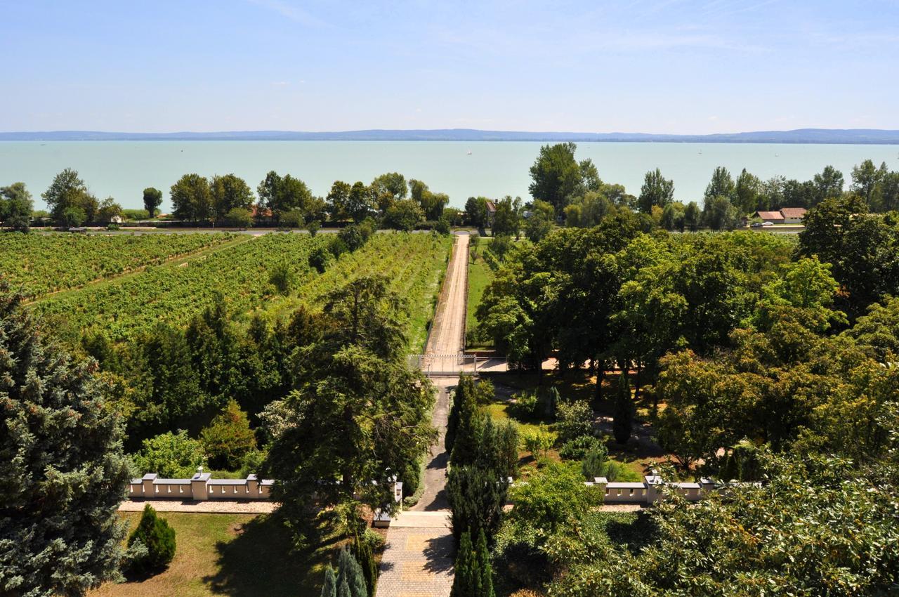 Sir David Balaton Castle Apartmanok Balatonszepezd Exterior photo